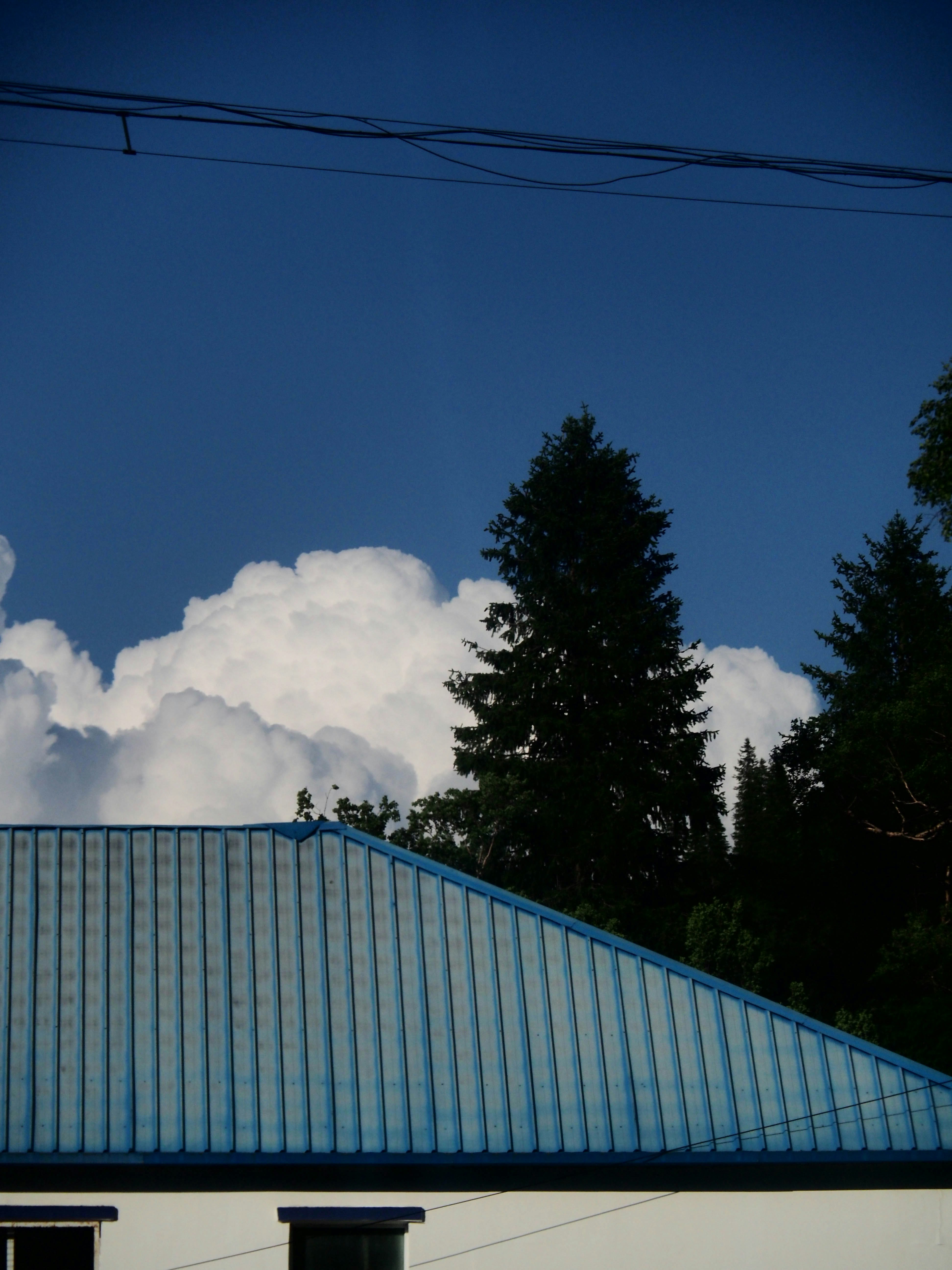 a building with a blue roof and trees in the background