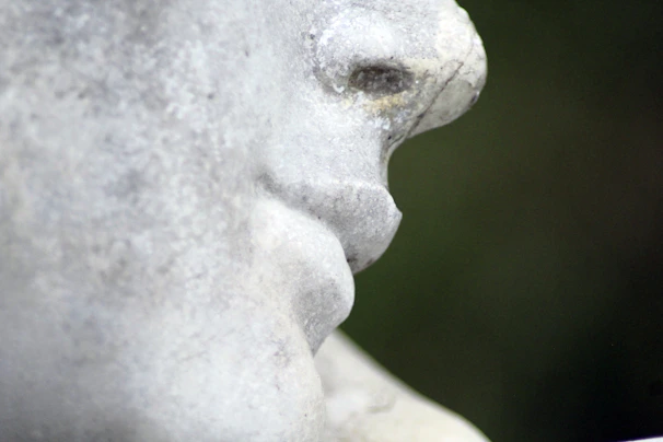 Close-up of a weathered Roman bust with intricate facial details