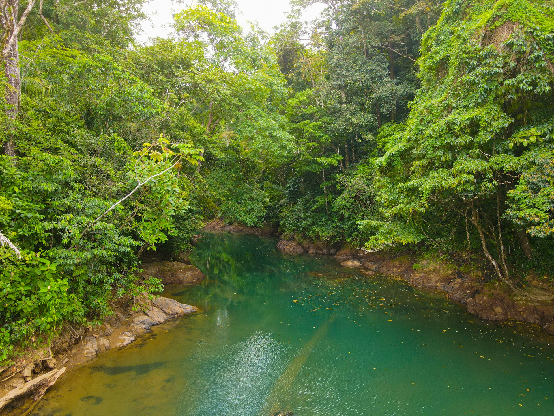 A scientist carefully collecting water samples by a serene riverbank surrounded by lush greenery, capturing the essence of environmental chemistry research.