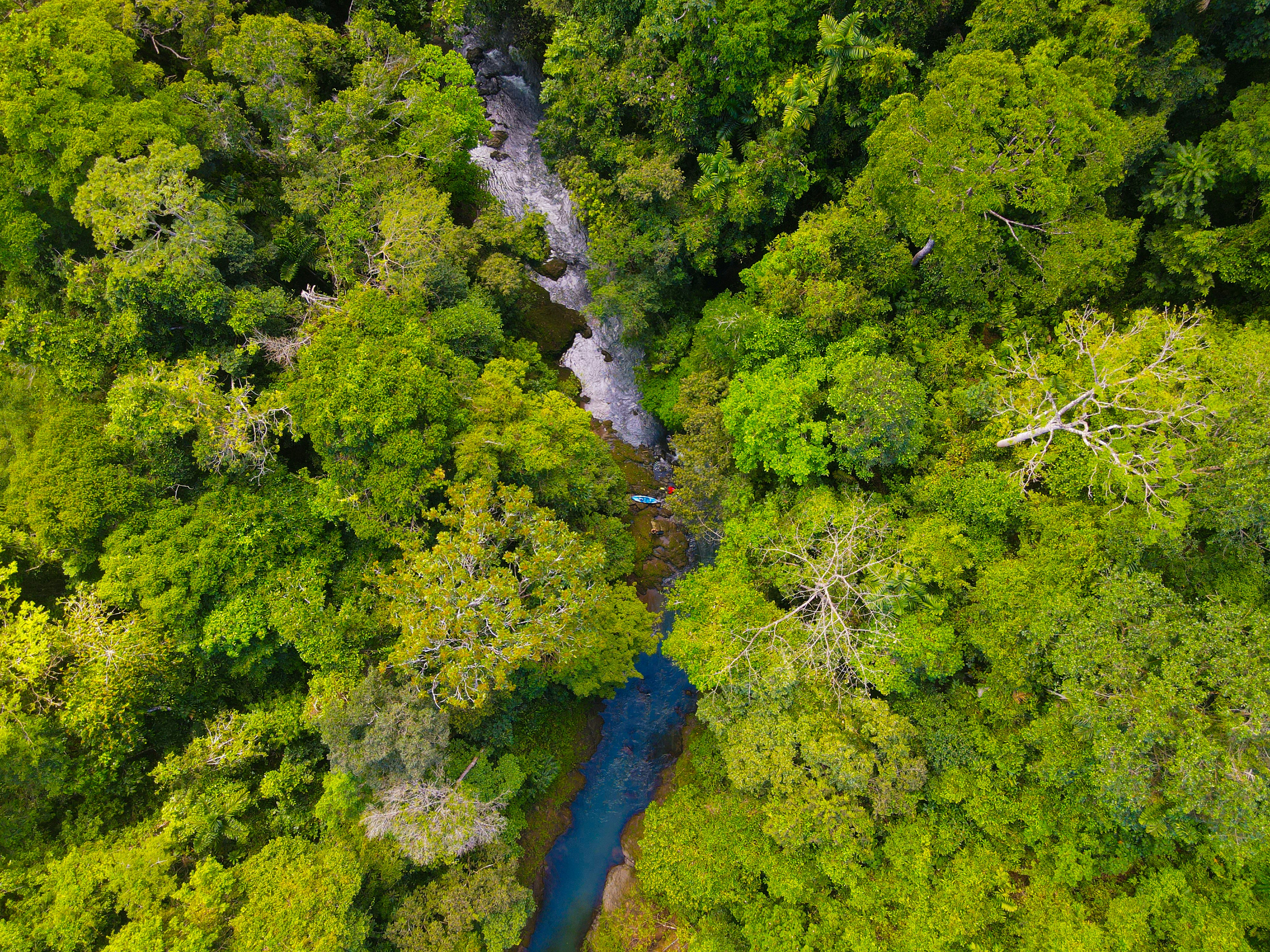 Photo by florian_delee