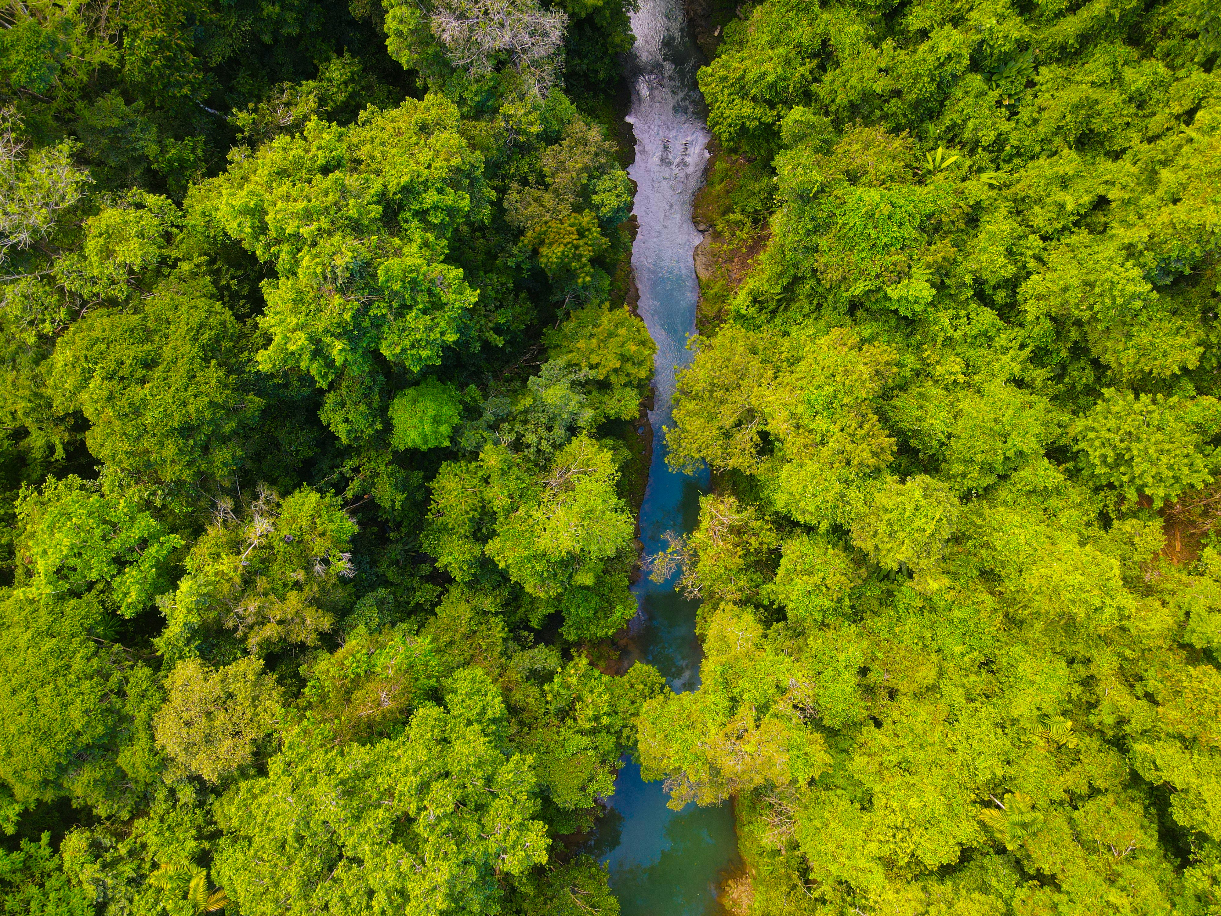 Photo by florian_delee