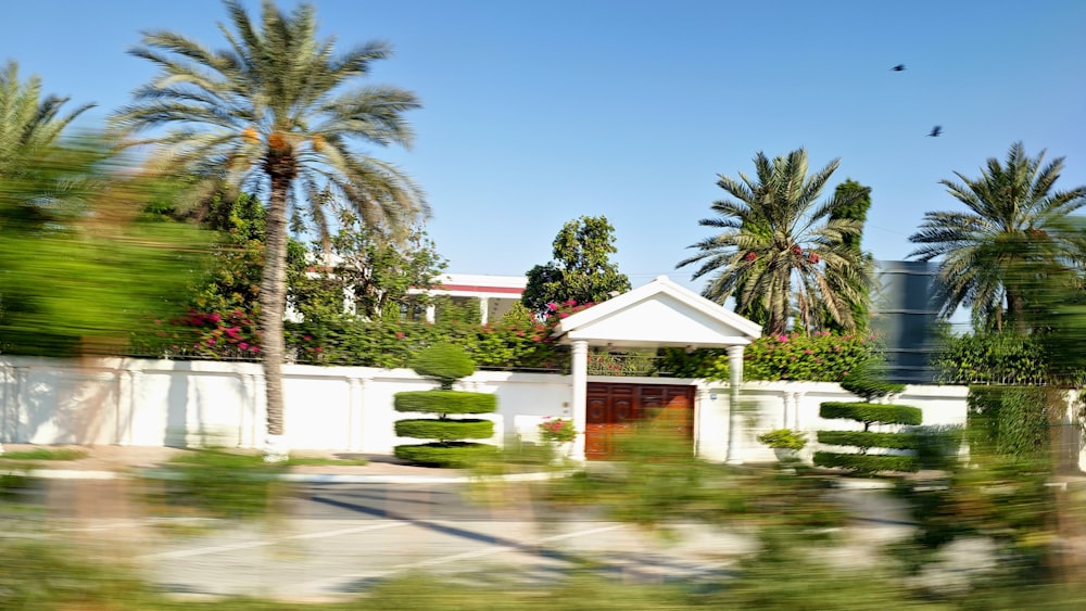 a house with a white roof surrounded by palm trees