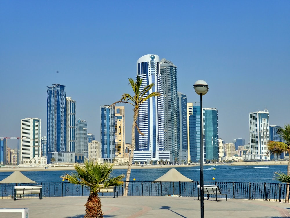 a view of a city with tall buildings and palm trees