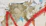 A textured surface with layers of peeling paint and paper, revealing a mix of beige and brown underneath. Broad red paint strokes create a dramatic effect against the worn backdrop. Light blue and orange fragments add contrast and visual interest.