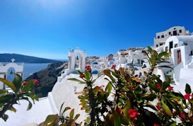 A picturesque view of a coastal town featuring white-washed buildings with blue accents, typical of Greek architecture. Bright flowers in the foreground add vibrant color to the scene, and the clear blue sky stretches over the calm sea in the background.