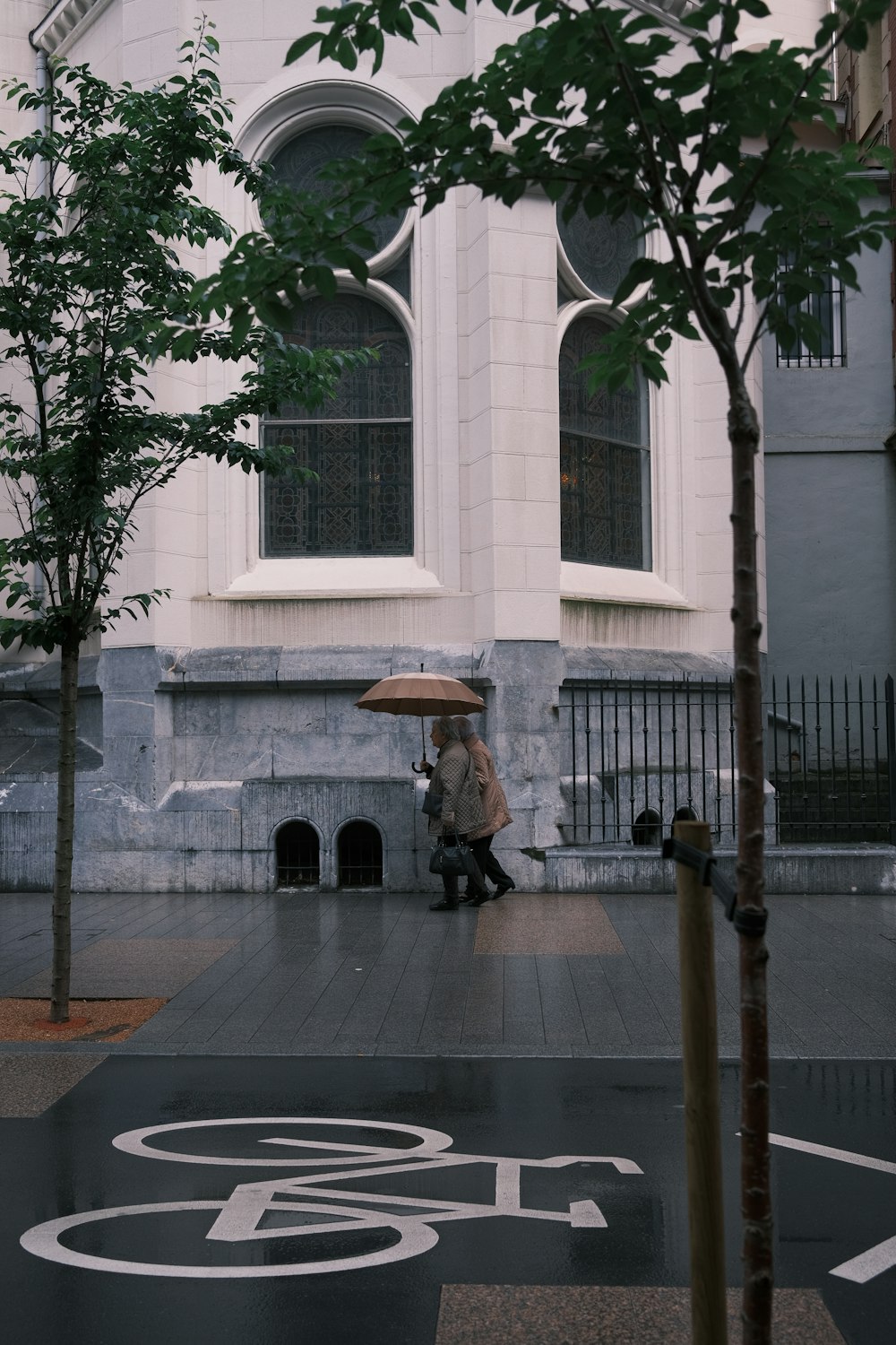 우산을 들고 거리를 걷는 사람