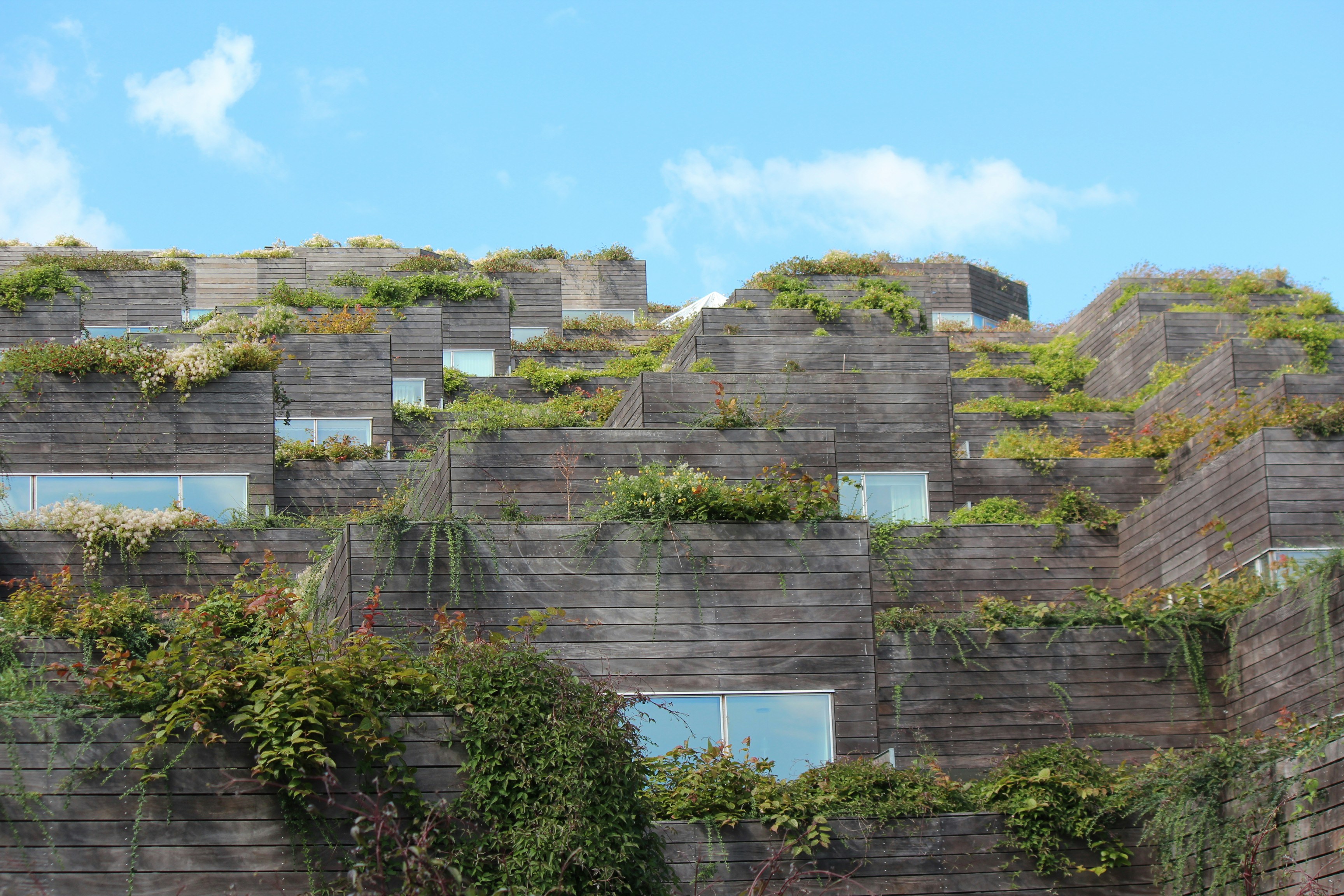 Greener Housing Ideas