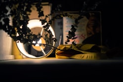 A softly lit scene featuring a rustic black lamp stand beside a rugged plant with huge leaves.