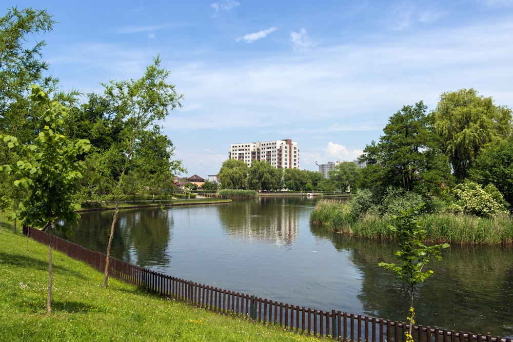 a large body of water next to a lush green park