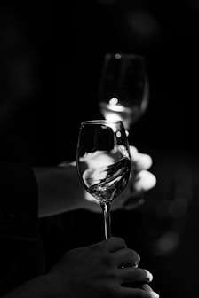a person holding a wine glass in their hand