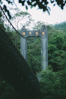 A suspension bridge with structural cables and stone pillars is surrounded by lush green trees. The bridge is partially obscured by foliage, suggesting a natural setting. The sky is visible in the background, providing a contrast between the bridge's industrial design and the natural environment.