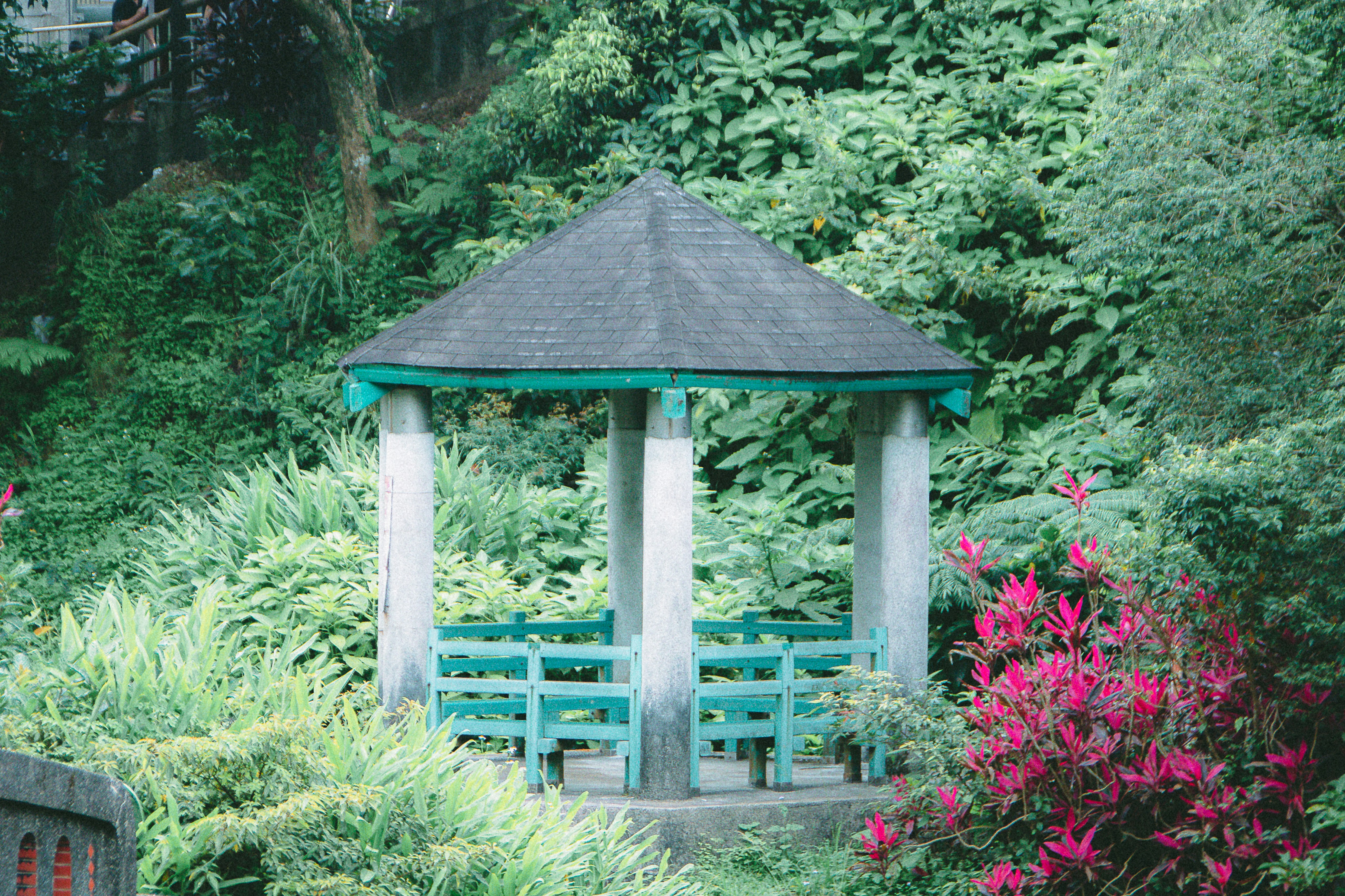 Photo by hungquoc1410