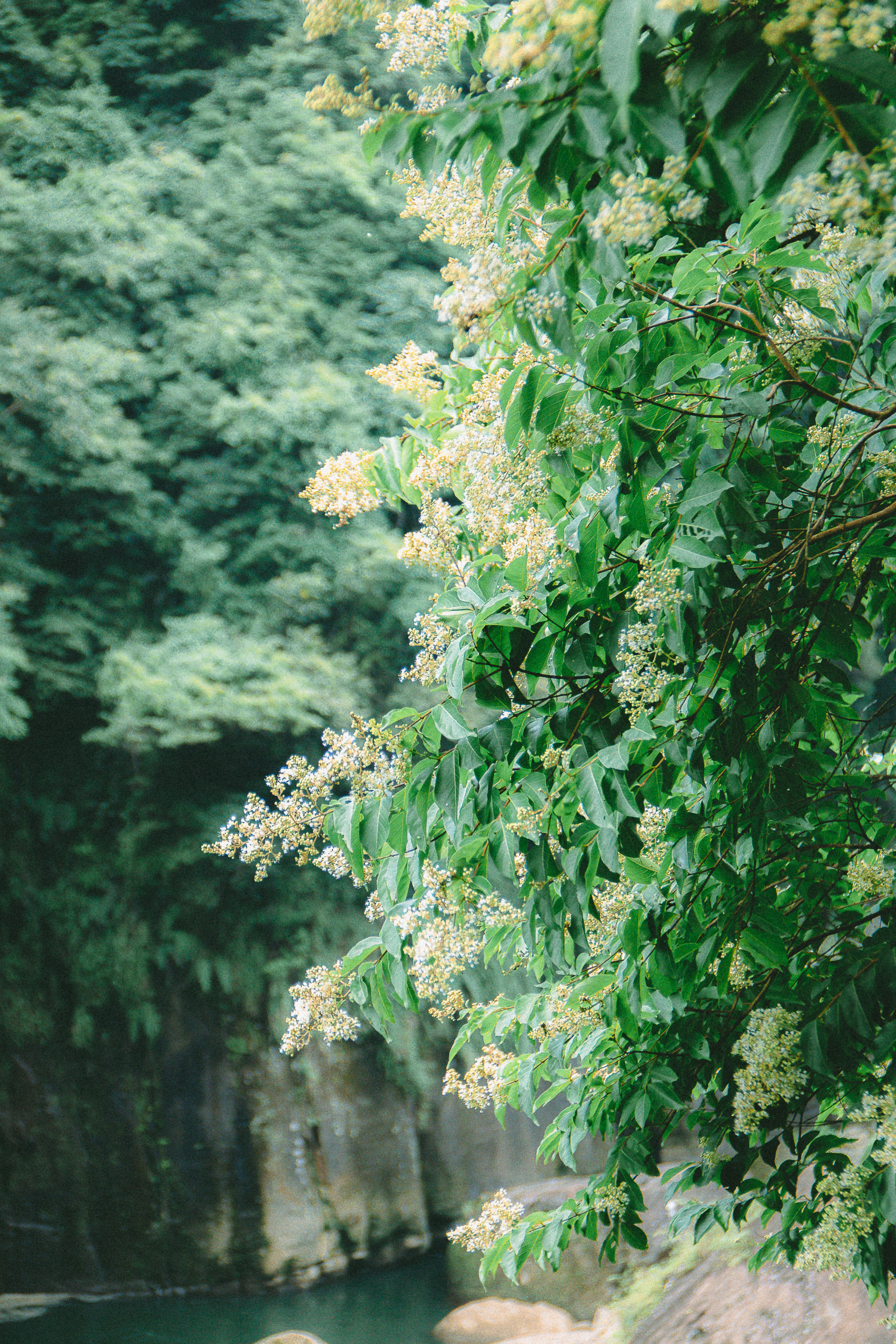 Photo by hungquoc1410