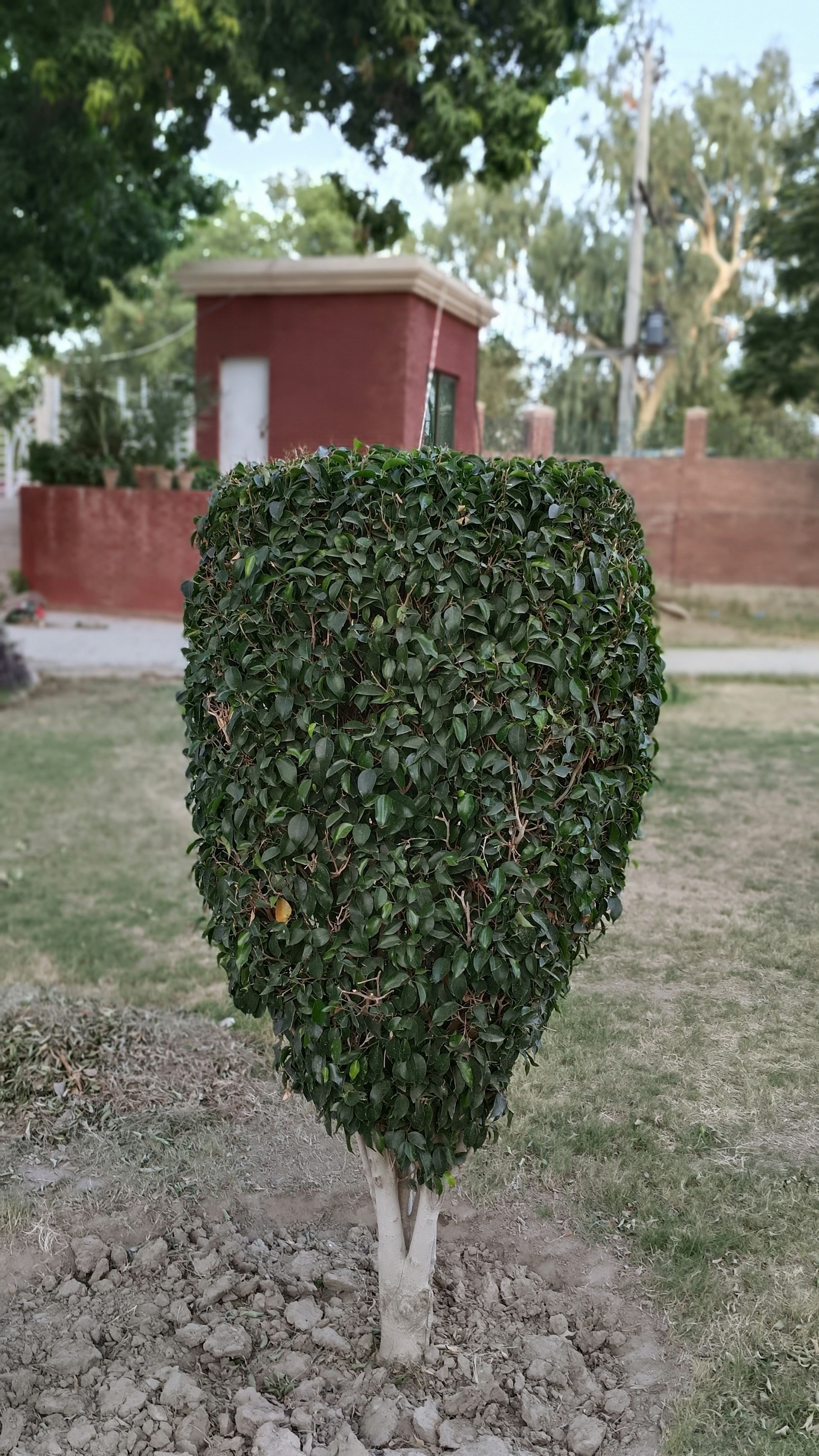 woman wearing yellow long-sleeved dress under white clouds and blue sky during daytime