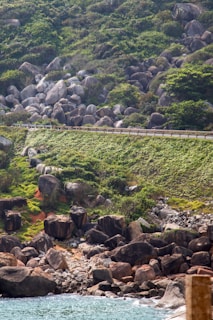 A coastal landscape with a mix of large rocks and lush greenery. A road with a guardrail cuts through the green hillside, adding a human element to the natural scenery. The shoreline features rocky formations leading into clear, gentle waters.