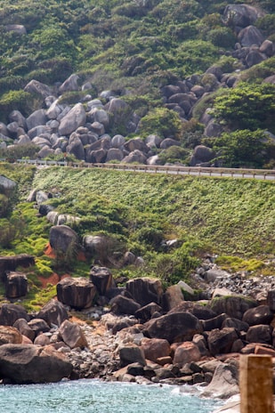 A coastal landscape with a mix of large rocks and lush greenery. A road with a guardrail cuts through the green hillside, adding a human element to the natural scenery. The shoreline features rocky formations leading into clear, gentle waters.