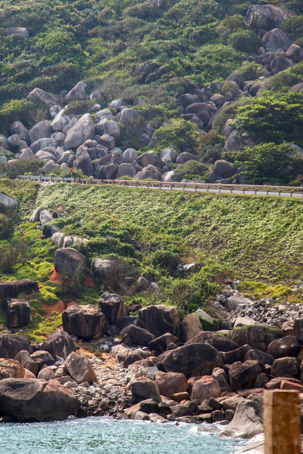 a couple of sheep standing on top of a lush green hillside