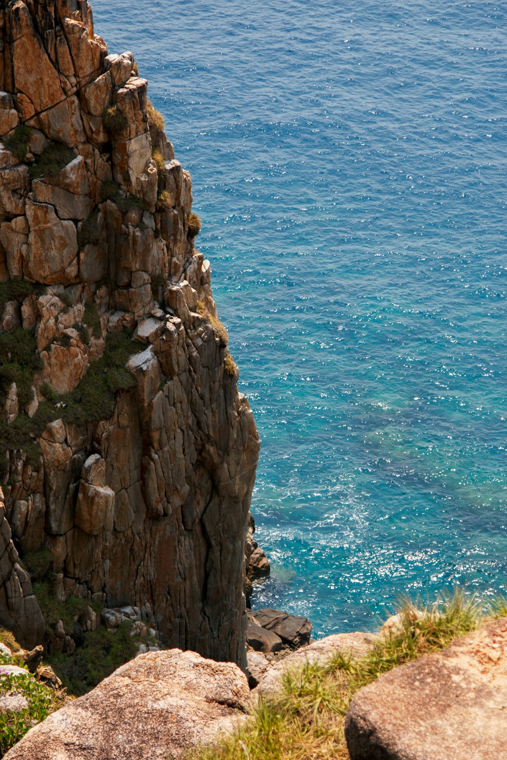 a bird sitting on the edge of a cliff by the ocean