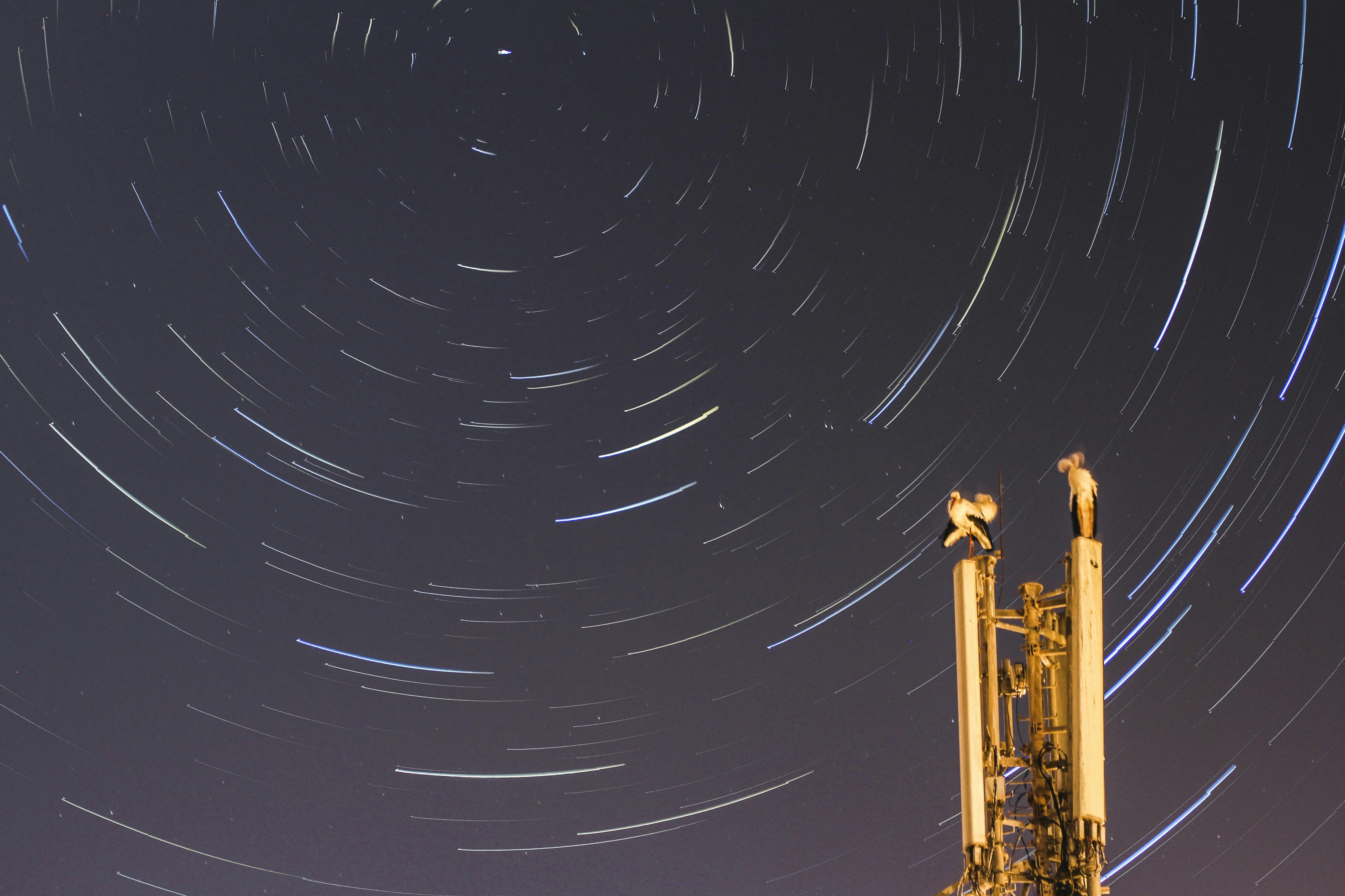 Photo by anassfakhari