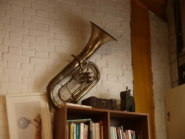 a bookshelf with a brass trumpet on top of it
