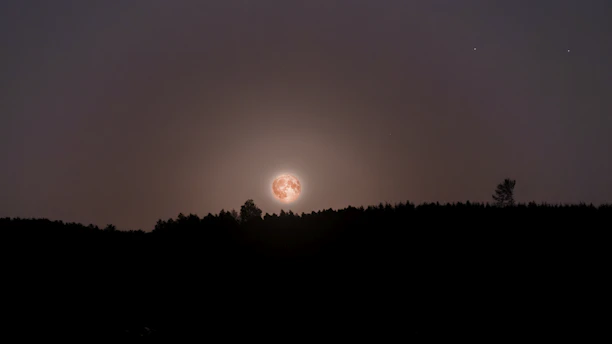 A glowing full moon rising over a misty forest, casting silvery light that hints at hidden mysteries.