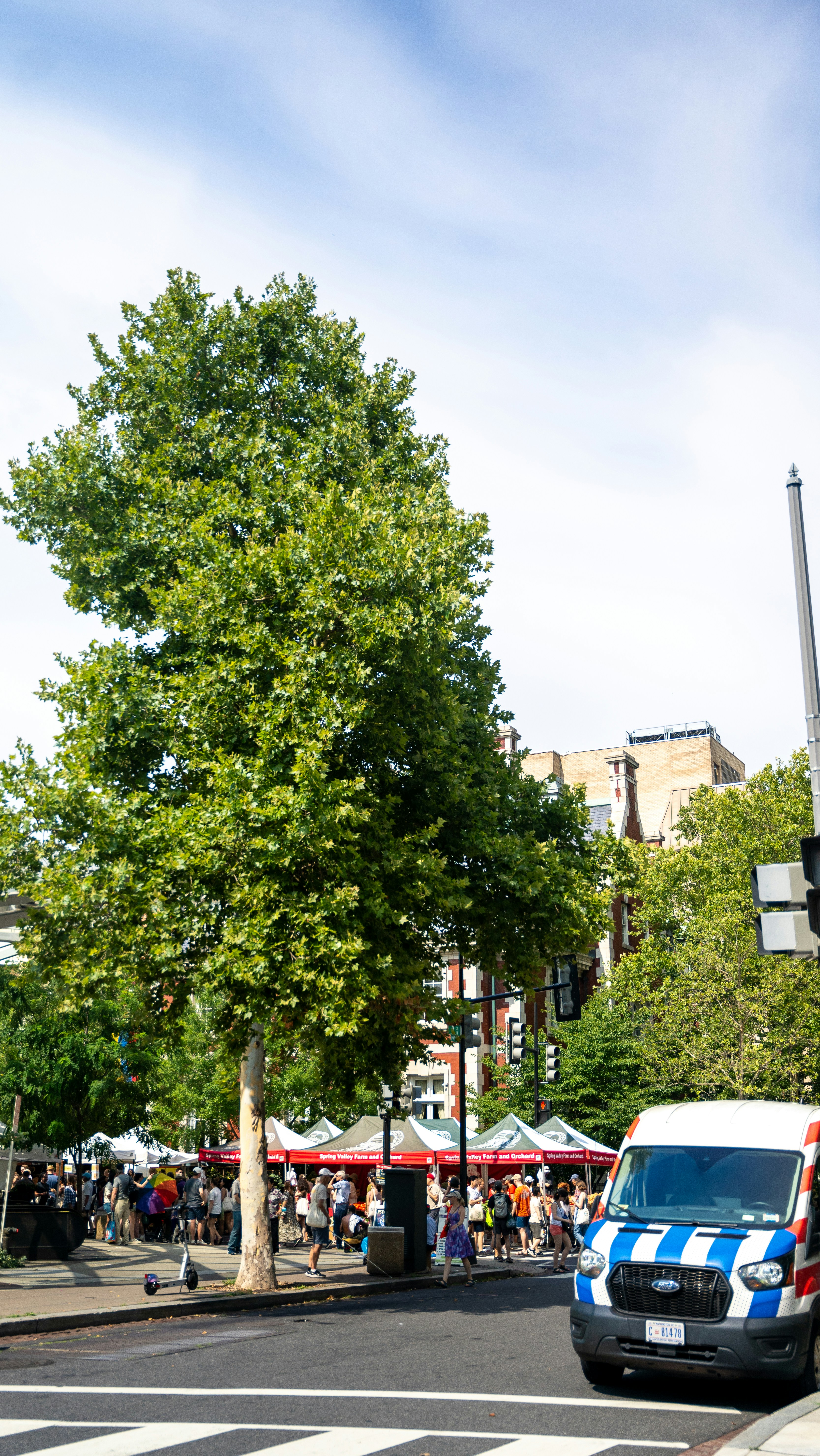 Photo by harrisonmitchell