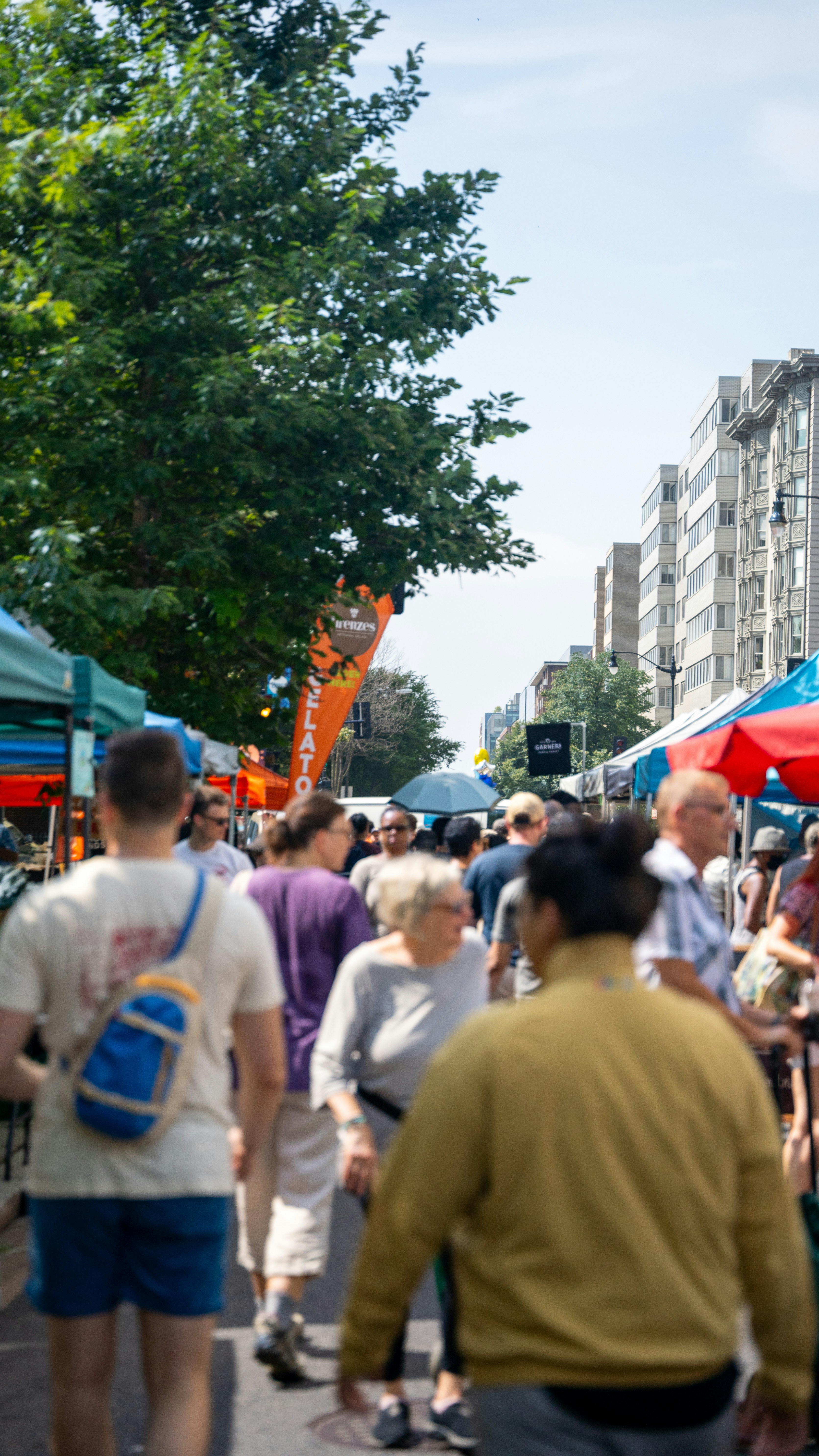 Photo by harrisonmitchell