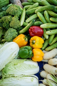 A vibrant assortment of fresh vegetables including broccoli, cucumbers, bell peppers in red, yellow, and green, Chinese cabbage, and white radishes. The vegetables are densely arranged, showcasing a variety of textures and shapes.