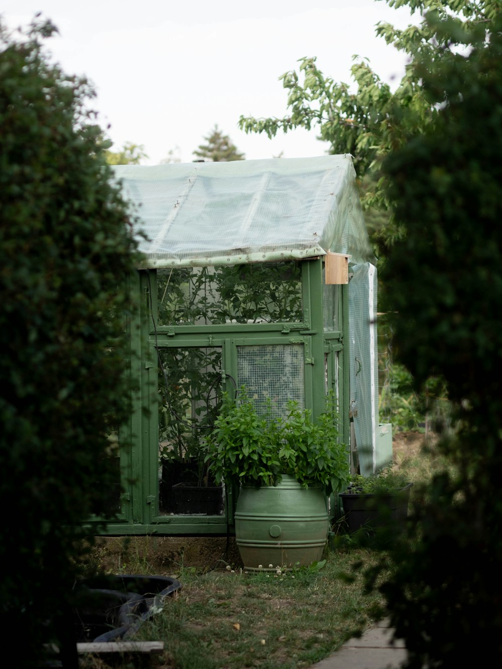 a green house with a potted plant in front of it