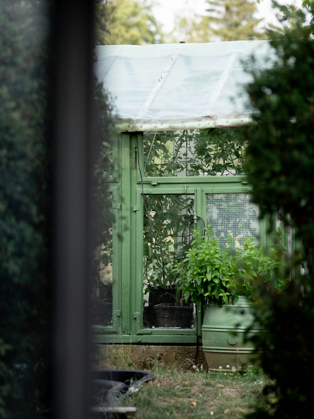 a green house with a window and a potted plant