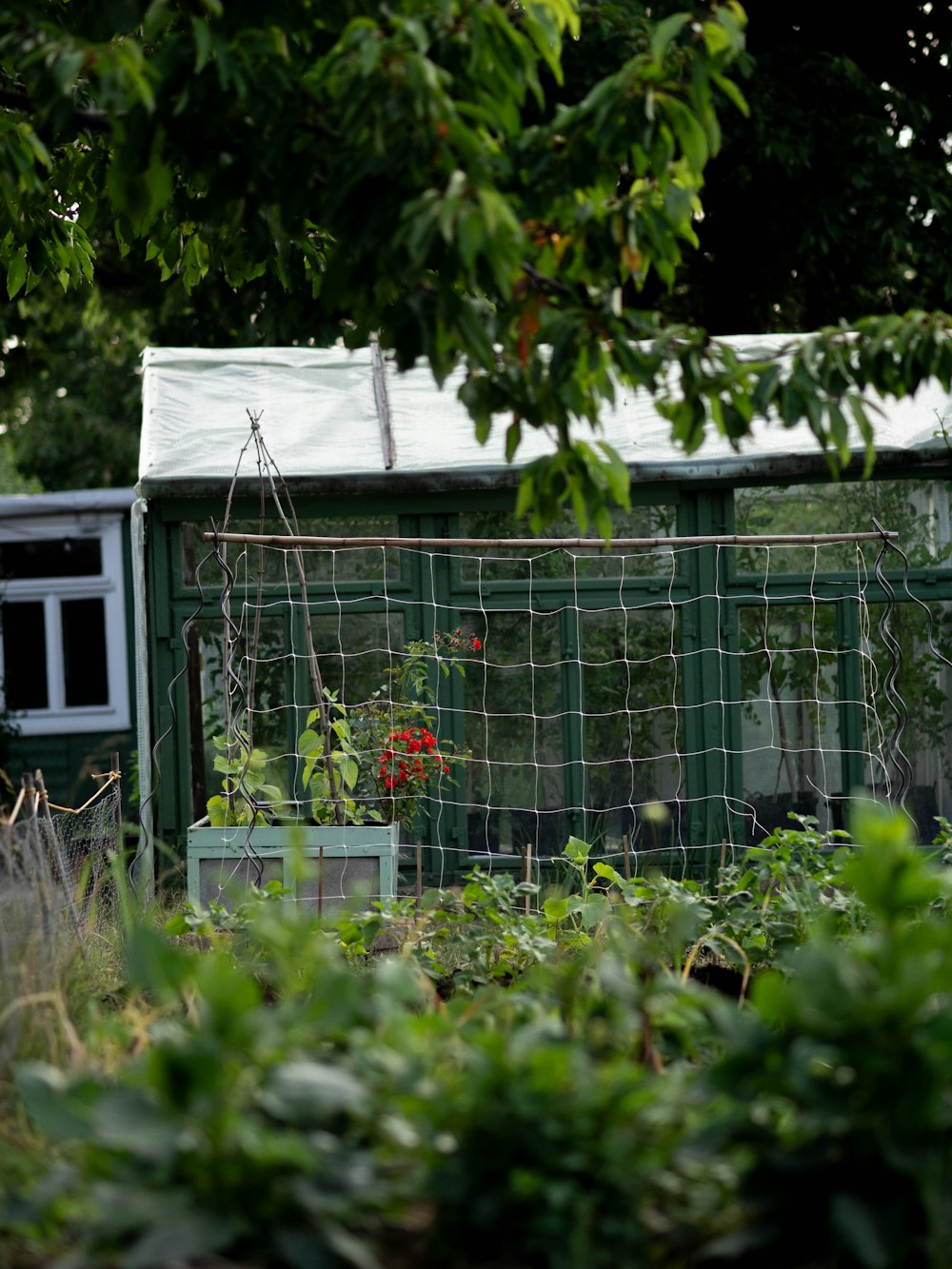 a small green building with a fence around it