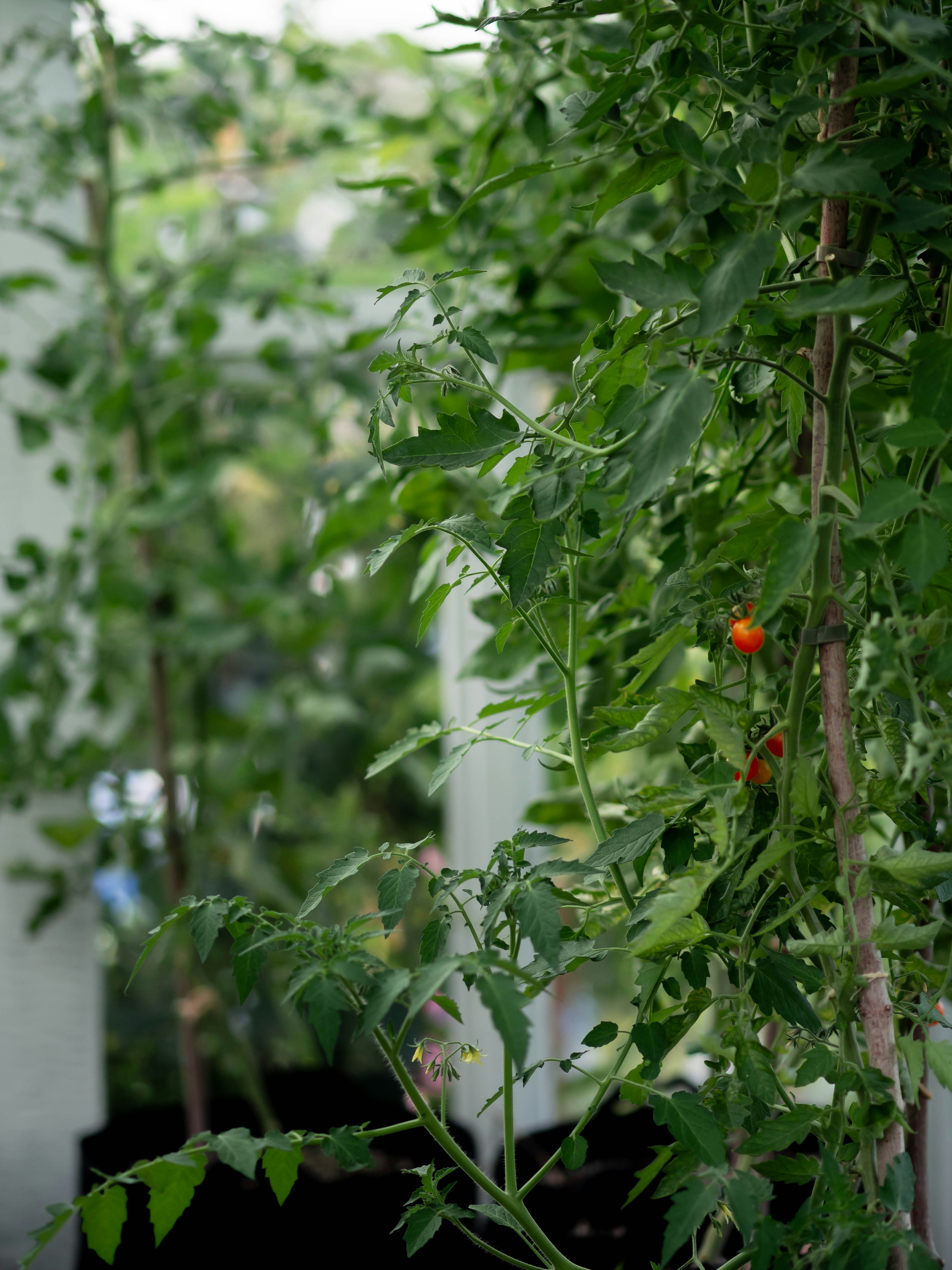 Photo by eileen_kummer