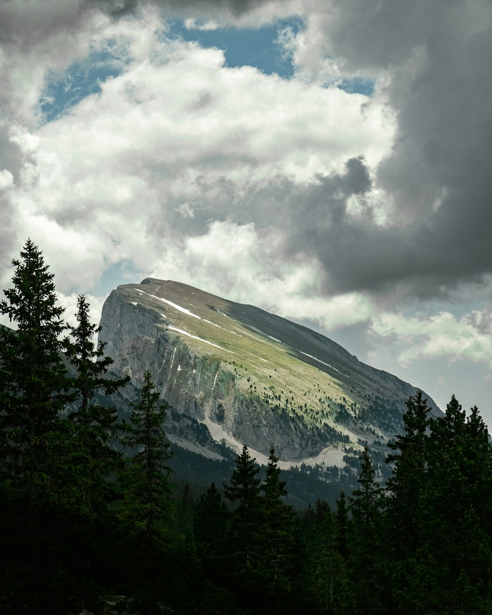 a mountain covered in snow and trees under a cloudy sky