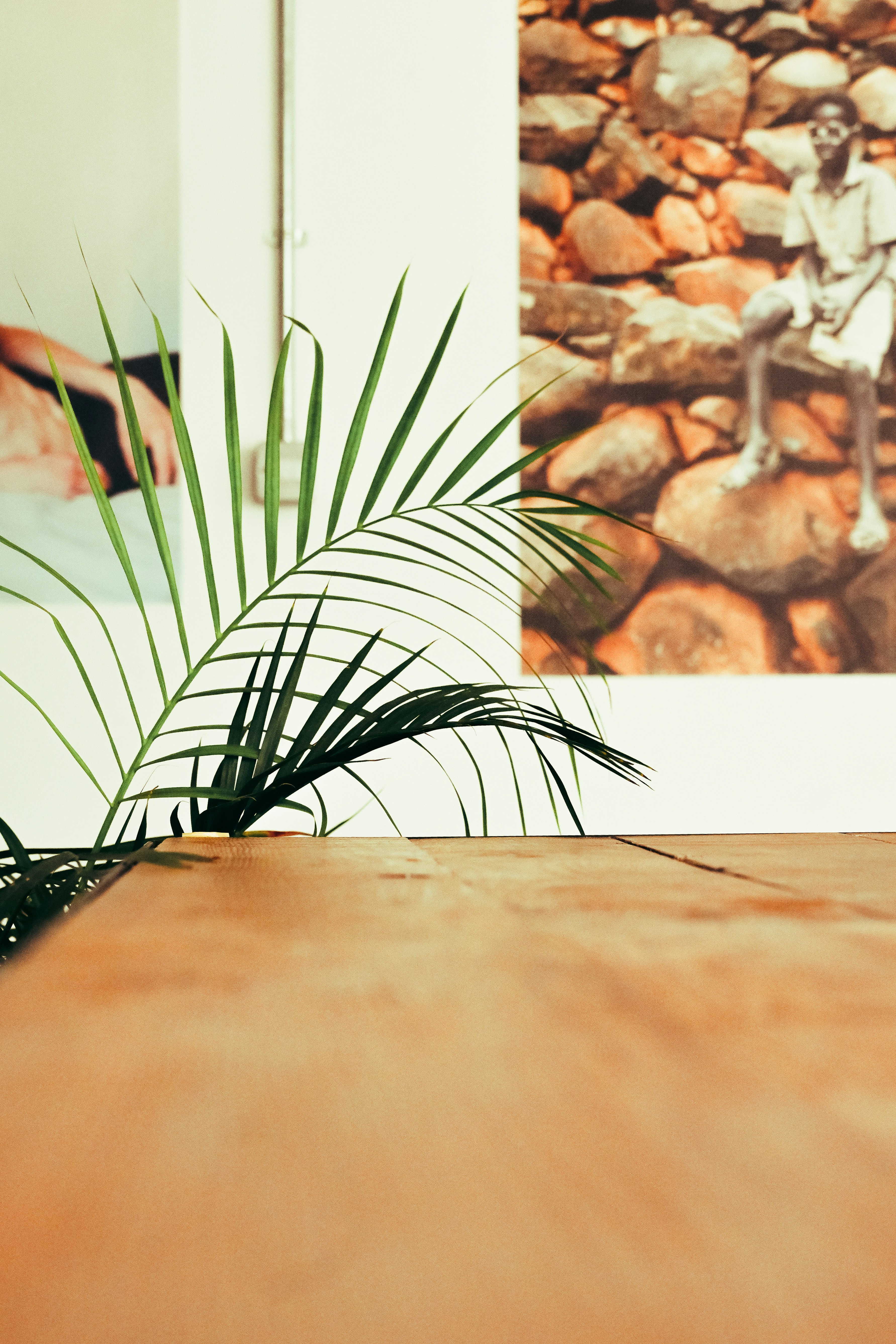 a plant is sitting on a table in front of a picture