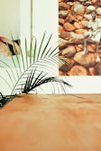 a plant is sitting on a table in front of a picture