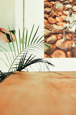 a plant is sitting on a table in front of a picture