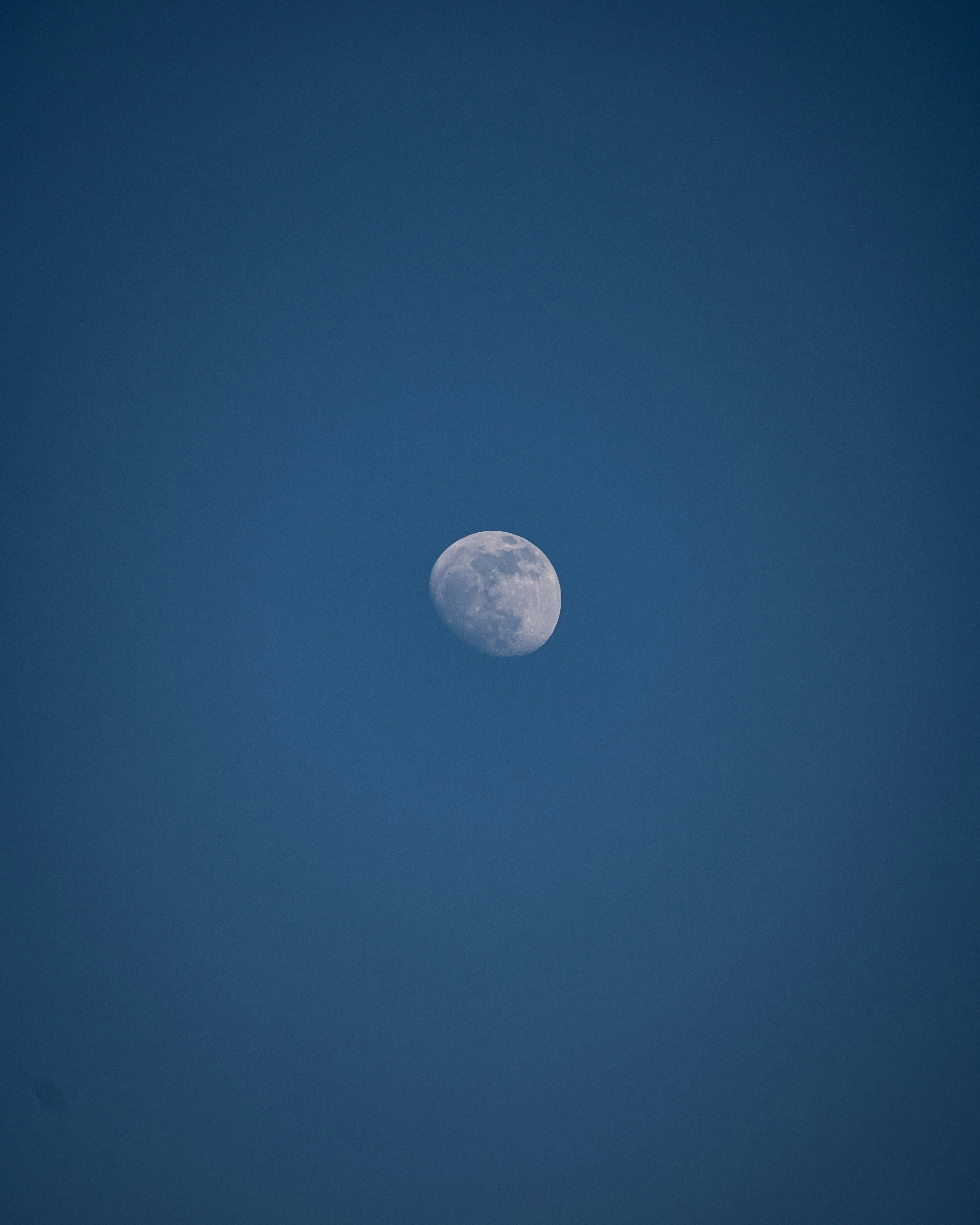 Photo by v91_photography