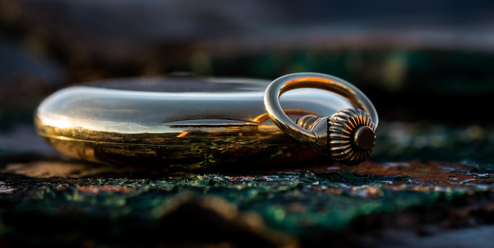 a couple of rings sitting on top of a piece of wood