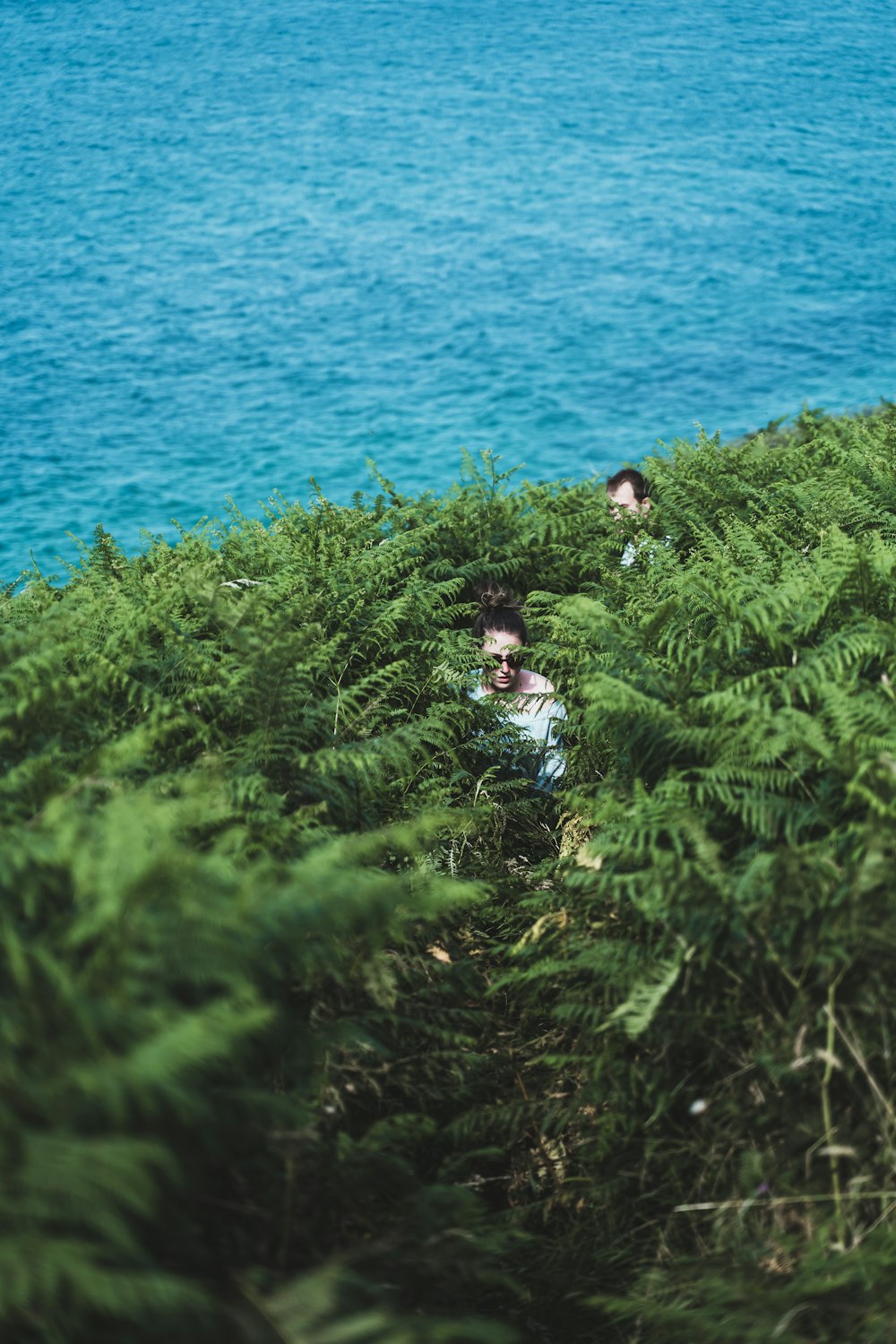 a man sitting in a bush looking out at the ocean