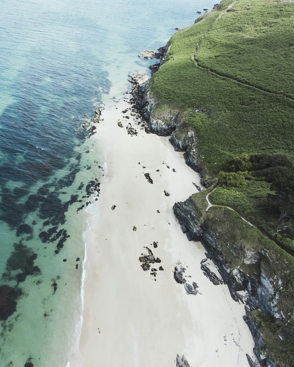 an aerial view of a sandy beach and ocean