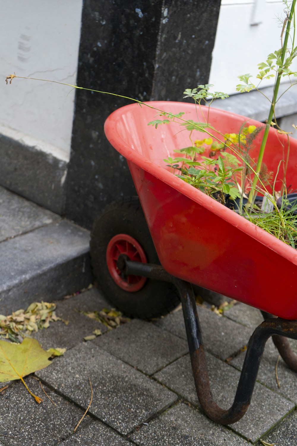 a red wheelbarrow filled with plants on a sidewalk