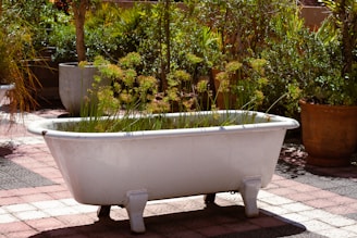 a bath tub filled with lots of green plants