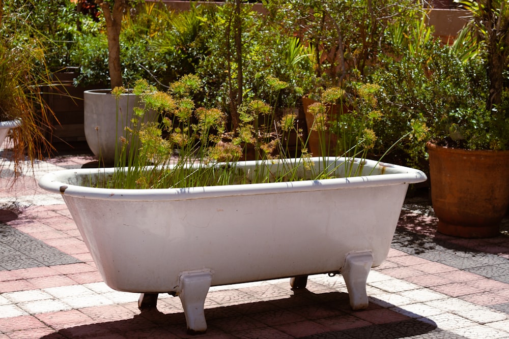 a bath tub filled with lots of green plants