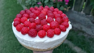 Raspberry Vanilla Dream