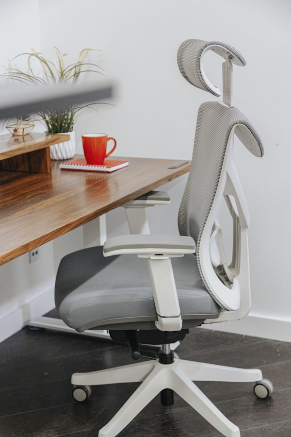 Ergonomic Chairs & Supports