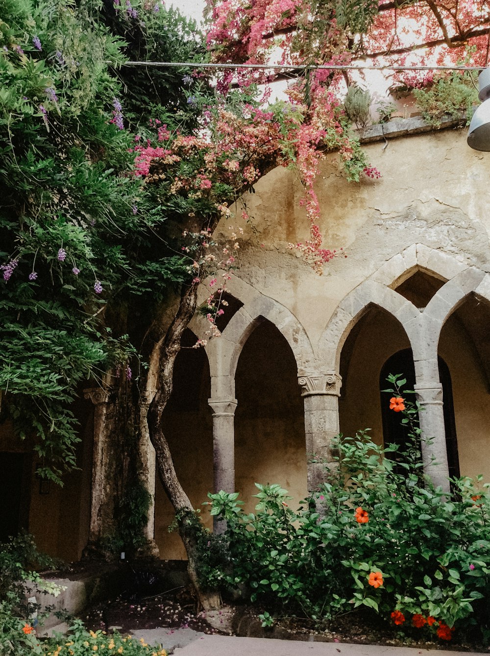 a building with a bunch of flowers growing on the side of it