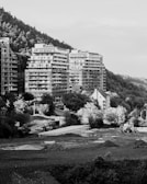 A black and white landscape capturing a hillside with modern high-rise buildings in the background. Several trees and natural vegetation surround the area, with a road curving along the scene. A construction vehicle is visible in the foreground, positioned on a plot of land. The area appears to be a blend of urban development and natural scenery.