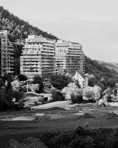 A black and white landscape capturing a hillside with modern high-rise buildings in the background. Several trees and natural vegetation surround the area, with a road curving along the scene. A construction vehicle is visible in the foreground, positioned on a plot of land. The area appears to be a blend of urban development and natural scenery.