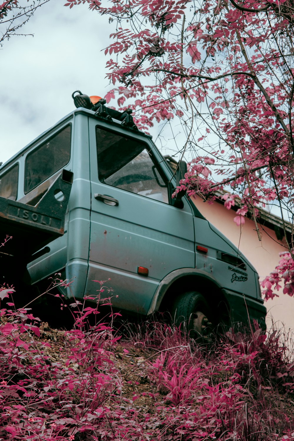 a van is parked on a hill next to a tree