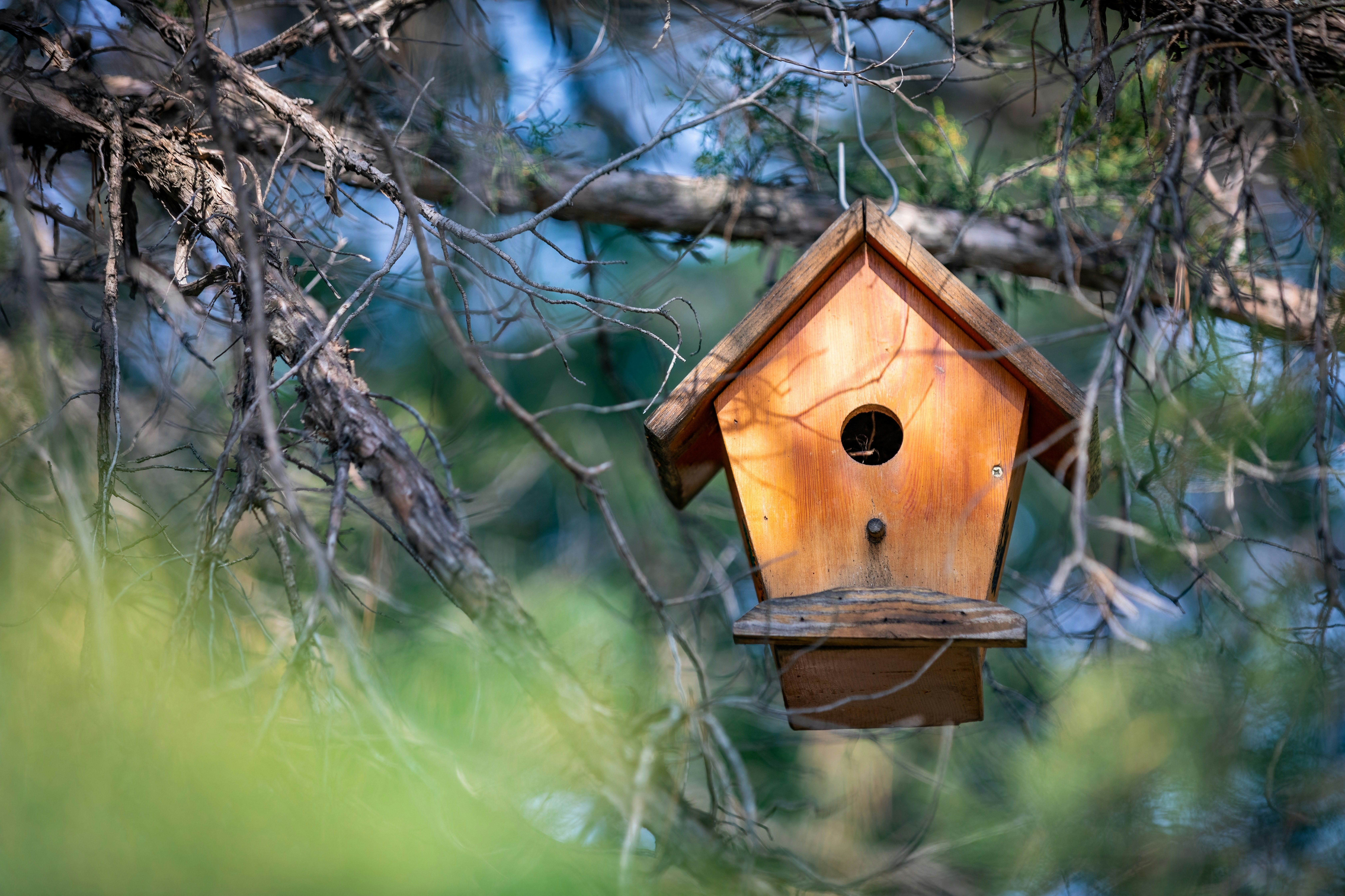 Photo by ovidiugruescu